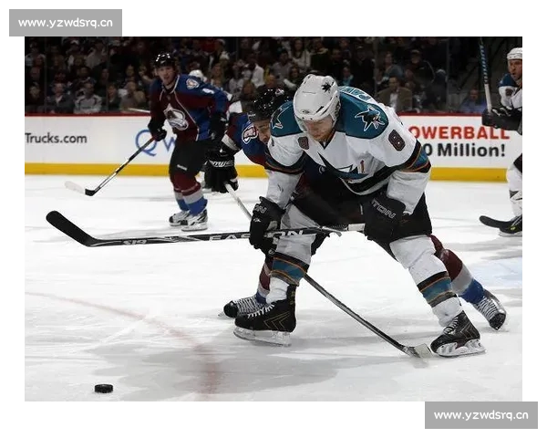 北京少年王浩西创历史！圣荷西鲨鱼队次轮首位选中中国冰球新星